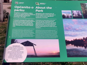 487875460 29827531096834058 5874665262961031333 n 